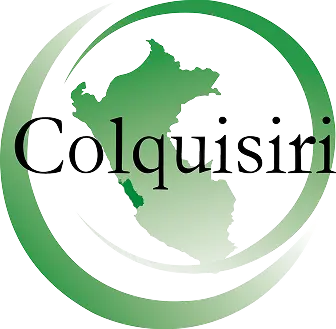 logo colquisiri png 1
