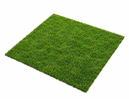 image 55